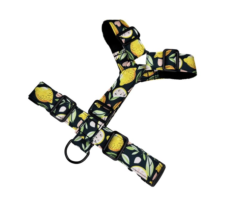 CITRONI UZ MELNA IEMAUKTI